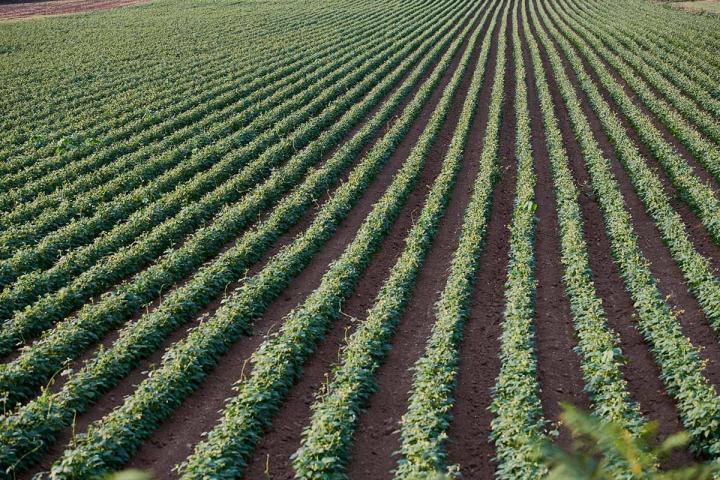 Travaux agricoles La Rochelle
